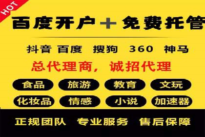 百度SEM竞价推广成功案例：某电商平台的营销奇迹